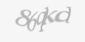 Қорғаныс коды